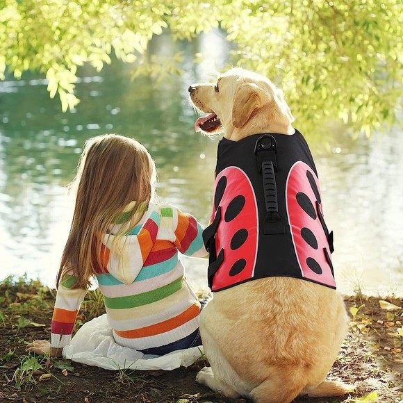 ASENKU Dog Life Jacket Pet Safety Vest Ripstop Flotation Pet Swimsuit, Size M - Picture 8 of 9